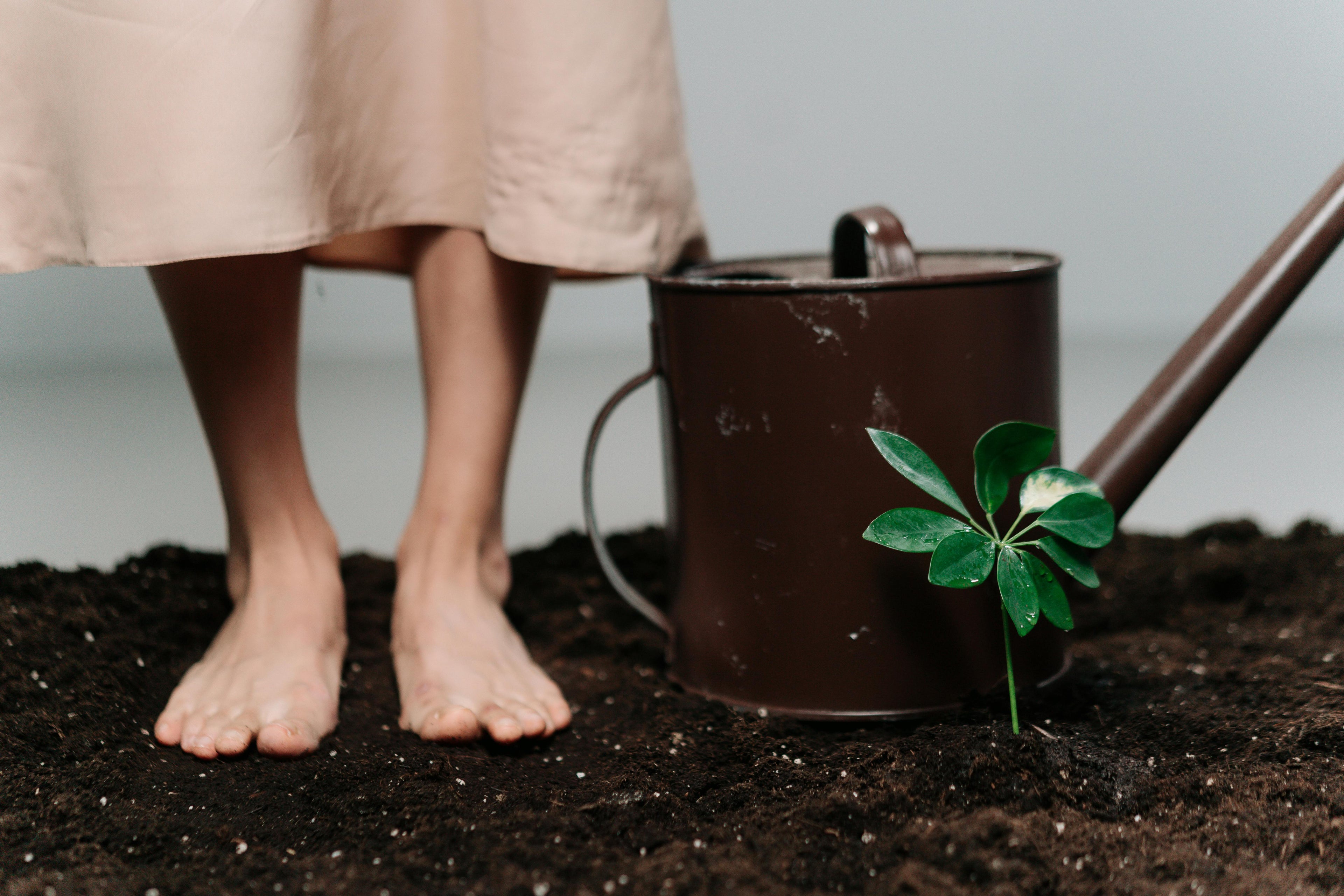 Cargar video: Achieving a grounded state is effortless. Follow these simple steps to integrate the Earth's restorative energy into your daily routine.